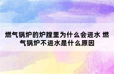 燃气锅炉的炉膛里为什么会进水 燃气锅炉不进水是什么原因